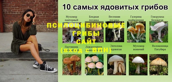 спайс Киреевск