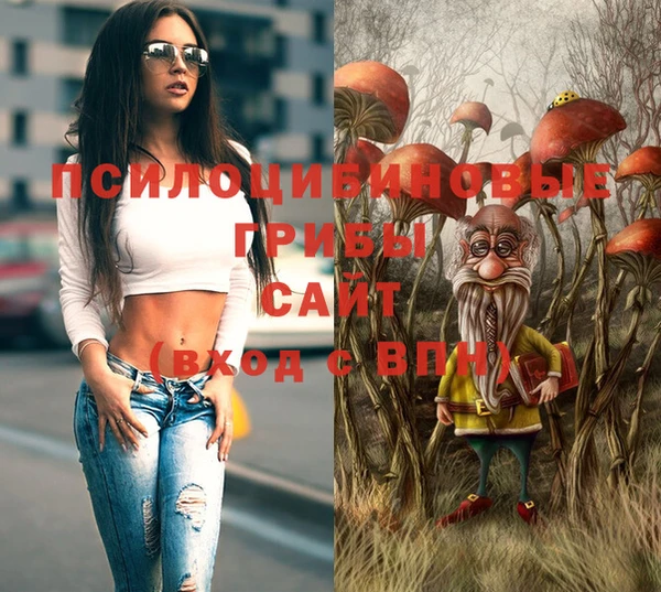 спайс Киреевск