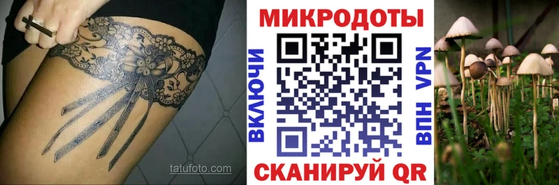 Галлюциногенные грибы мицелий  Купить  Кологрив 